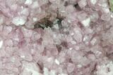 Cobaltoan Calcite Crystal Cluster - Bou Azzer, Morocco #141532-1